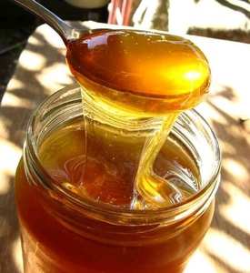 Best Price Pure Wildflower <b>Honey</b> from Vietnam Bulk Packing Natural Aroma Export Quality - Ms.Tarina - Product Image 1