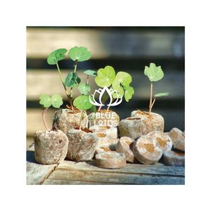 TRENDING <b>NOW</b> Coir Pith Clean Selection For Modern Landscaping Projects And Sophisticated Material For Office Reception Decor Set - Product Image 1