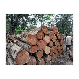 Strong square <b>logs</b> available for wholesale trade and industrial timber projects - Product Image 5