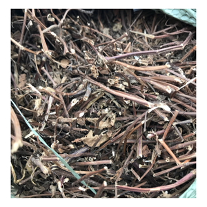 Platostoma palustre ทิ้งไว้เป็นท็อปปิ้งสำหรับชานม - Product Image 4