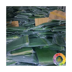Feuilles de bananier fraîches surgelées en gros pour l'exportation – Feuilles de bananier vertes naturelles : la meilleure option pour l'emballage alimentaire - Product Image 6
