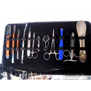 61 Piezas Juego Quirúrgico Profesional de Fórceps Dentales, Extractores y Elevadores, Manual, Marca 2026, Nuevo de Fábrica, Venta al por Mayor - Product Image 2