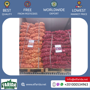 Bán Buôn Số Lượng Nhà Cung Cấp Chất Lượng Cao Ai Cập Xuất Khẩu Xuất Khẩu Rau Màu Đỏ Tươi Hành Tây Tại Thị Trường Cạnh Tranh Giá - Product Image 2