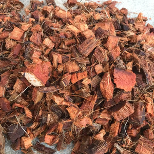 Chips de cáscara de coco lavados de Sri Lanka a bajo precio - Product Image 1