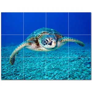 Tortuga Cerámica Azulejo Mural PT501075 32 "W X 24" H Juego de 12 8x8 Azulejos - Product Image 1