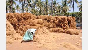 เส้นใยมะพร้าวธรรมชาติ - Product Image 3