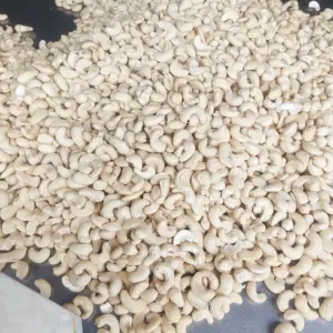 Vietnam Trusted Supplier Cashew Nuts Cashew Nuts W320 Cashew Nut In Dubai Exported To US, EU, Middle East