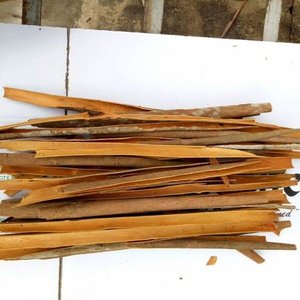 Primavera nueva cosecha de alta calidad orgánica Split Sticks canela ANNA DO + 84982153 al por mayor Vietnam Split Cassia hierbas especias crudas - Product Image 1