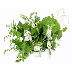 น้ำมันหอมระเหย cajeput ที่มีใบรับรองอินทรีย์ - Product Image 3