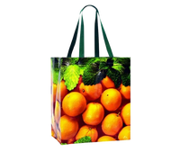 Fournisseur de sacs en PP tissé recyclé, imperméables, avec fermeture éclair, de haute qualité, pour le shopping et le transport de biens de consommation