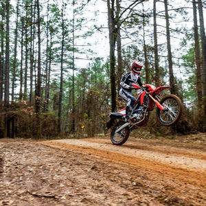 ฮอนด้า ซีอาร์เอฟ 300แอล เอบีเอส ปี 2024 - Product Image 2