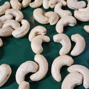 Private Label Packaging SANTIGO <b>Nuts</b> & <b>Kernels</b> Raw Cashew <b>Nuts</b> WW210 W210 Cashew <b>Nuts</b> First Quality - Product Image 1