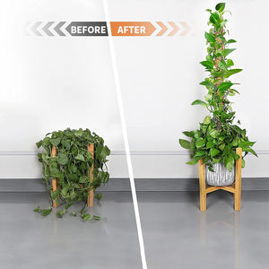 Kit de 4 poteaux en plastique recouverts de mousse avec attaches pour support de plantes Monstera intérieures/extérieures, en stock aux États-Unis, prêt à être expédié - Product Image 3