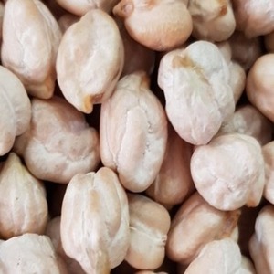 Double Tongues Premium Pois secs en vrac riches en protéines, riches en crème ou en protéines blanches, légumineuses saines, durée de conservation de 12 mois, à vendre - Product Image 1