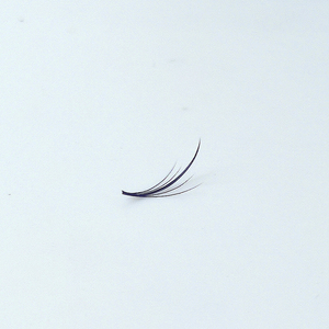 Belleza de nicho única encantadora para extensiones de pestañas suaves y esponjosas Nuevo diseño a granel para exportación - Product Image 6