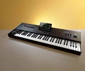 Ventas con descuento Korggg Pa4X 76 Oriental 76-Key Professional Arranger - Product Image 2