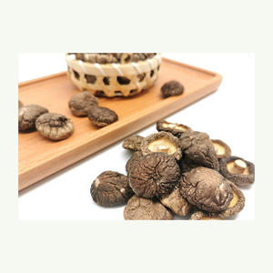 Vente en gros de champignons séchés naturels de haute qualité Champignons - Product Image 5