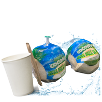 Hidratación Tropical Pura: Coco Fresco de Vietnam con Cáscara Semi-Despulpada, Pulpa Espesa y Agua de Coco Hidratante de Alta Calidad