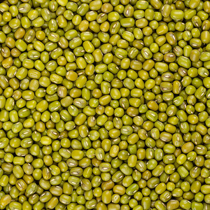 Frijoles Mungo Secos Orgánicos Sin GMO de Grado Premium Disponibles para Compra al por Mayor con Máximo Valor Nutricional y Calidad Excepcional - Product Image 2