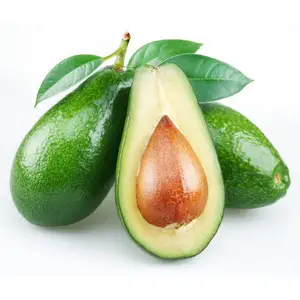 Свежие мексиканские авокадо свежие фрукты/Высококачественные свежие фуэрте/Хасс авокадо для продажи, лучшее качество