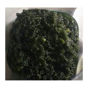 องุ่นทะเลธรรมชาติอบแห้ง Caulerpa lentilifera สาหร่ายทะเลอบแห้งผักทะเลแห้งมอสกินได้สินค้าส่งออก - Product Image 5