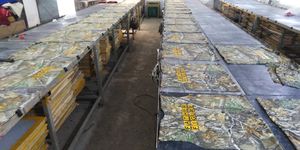 Sweat-shirt à capuche zippé pour femme, en coton, veste décontractée, sweat-shirt d'hiver - Product Image 6