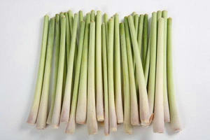 HIERBA DE LIMONO CONGELADA AL POR MAYOR CALIDAD PREMIUM OFERTA CALIENTE PRODUCTO DE EXPORTACIÓN DE HIERBAS AROMÁTICAS NATURALES - Product Image 3