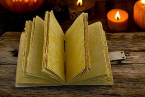 Raven Vintage cuero diario en blanco hechizo libro de sombras Grimoire viaje escritura cuaderno antiguo Cierre de bloqueo - Product Image 2