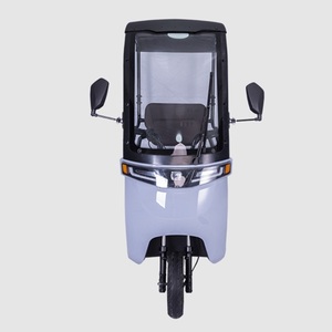 Tricycle électrique à 3 roues pour adultes, neuf, avec cabine pour passagers, catégorie électronique grand public - Product Image 1