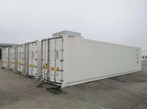 NUEVO CONTENEDOR REFRIGERADO DE 40 PIES CON DOBLE PUERTA/CONTENEDOR REFRIGERADO DE 40 PIES CON DOBLE PUERTA DISPONIBLE - Product Image 4