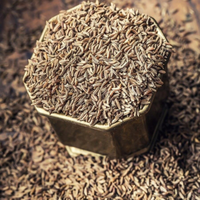 Vente chaude Nigella Sativa Poudre d'extrait de graine de cumin noir Poudre de graine noire naturelle et sauvage pour la santé-Acheter graine noire
