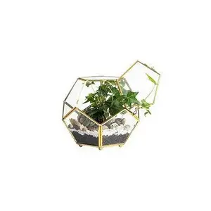 terrarium supplier,desktop hanging garden glass geometric terrarium wholesale