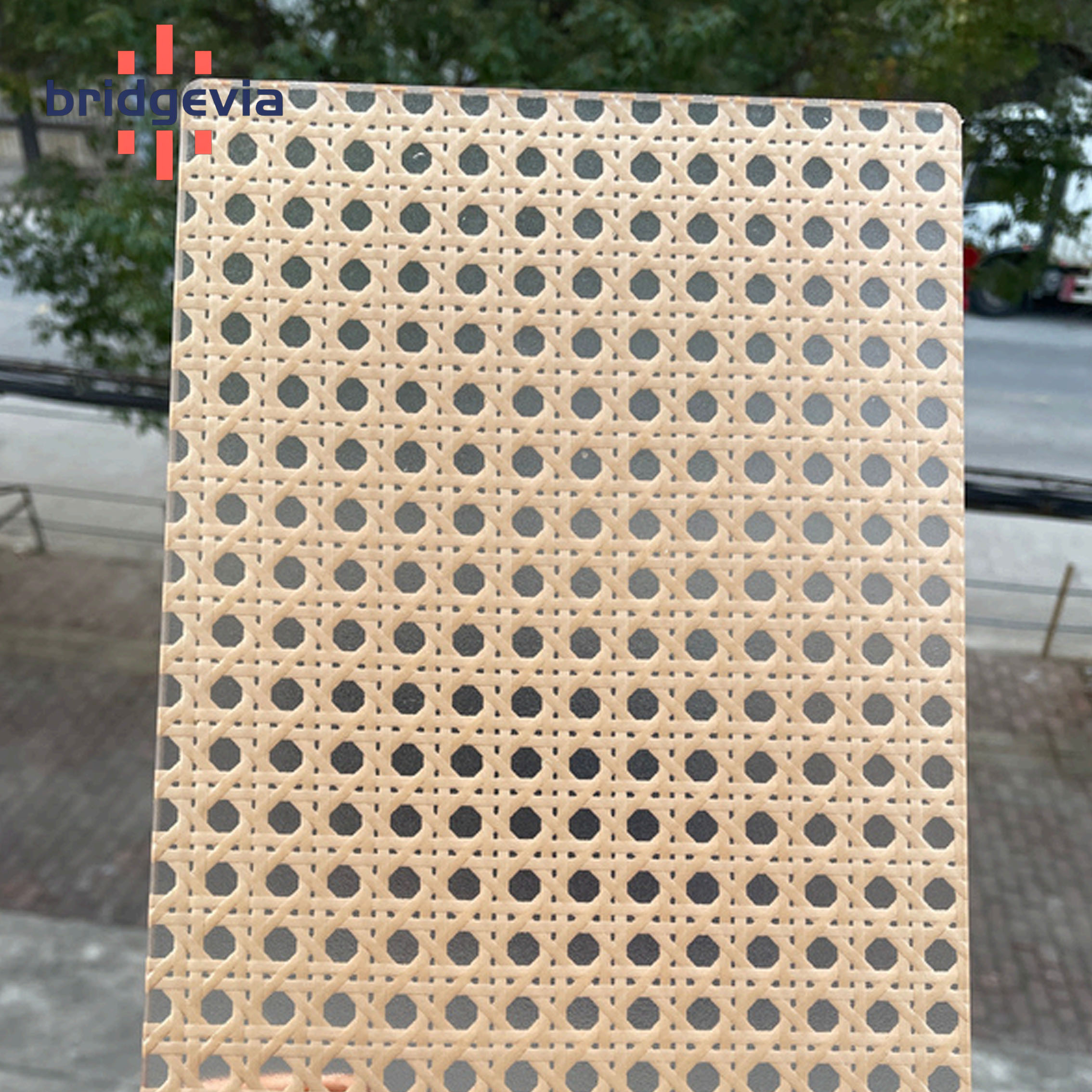 รหัสสินค้า: RY221