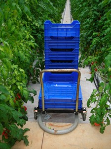 Carretilla de Cosecha Estándar, Construcción de Acero, Equipo Agrícola para Invernadero, Tomate, 2 Años de Garantía, de Turquía - Product Image 4