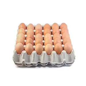 ताजा चिकन अंडे से थाईलैंड के लिए निर्यात