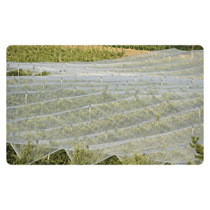 Heavy Duty Agriculture Non Woven Fabric GSM 20-150 Air Permeable Extra Wide for Gardening Use - Product Image 1