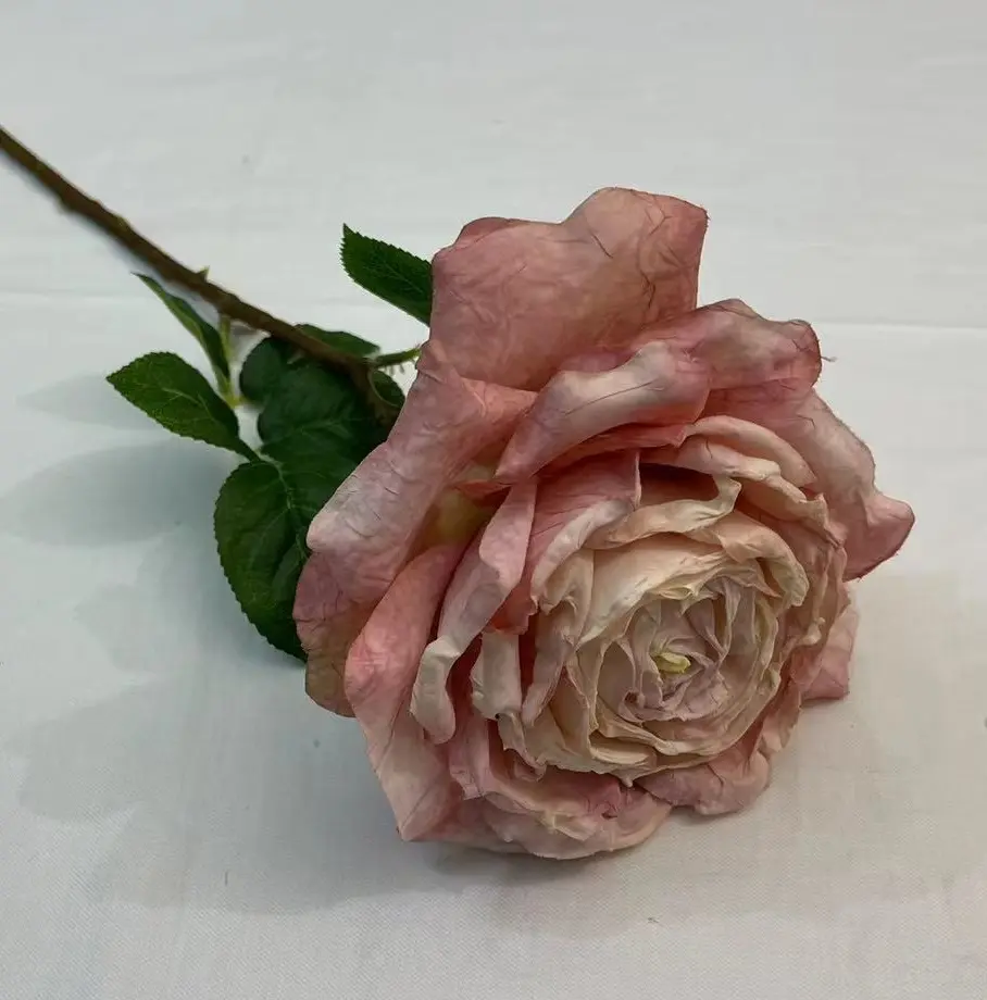 La migliore vendita di decorazioni per la casa plastica moderna, tessuti 65cm aspetto reale rosa artificiale fiore finto stelo singolo rosa
