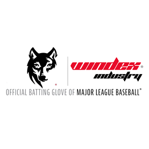 Venta al por mayor en línea profesional de bateo Franklin deportes entrenamiento KIP cuero béisbol Softball guantes - Product Image 6