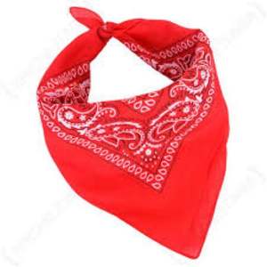 100% écharpe Bandana en coton biologique avec prix bon marché personnalisé en gros couverture de visage Bandana en coton durable Bandanas carrés en coton - Product Image 5