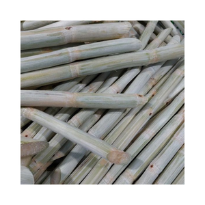 อ้อยธรรมชาติคุณภาพดีผลิตภัณฑ์ทางการเกษตรขายส่งแช่แข็งในเวียดนาม - Product Image 5