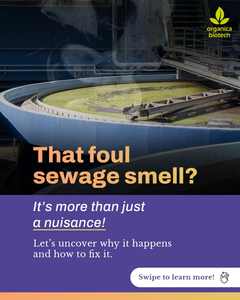 Biological Nitrogen <b>Removal</b> From Wastewater - Product Image 2