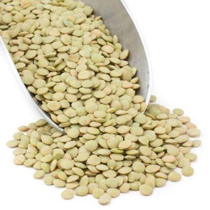 Lentilles séchées biologiques de haute qualité, rouge vif/vert/rouge, 25 kg - Product Image 6