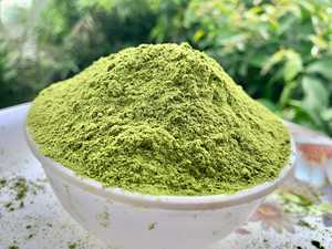 Polvo de Extracto de Hoja de Moringa de Primera Calidad, Natural, Más Vendido, Alta Calidad, 100% Puro y Orgánico a Precio Económico de la India - Product Image 6