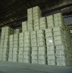 Aliments pour animaux de foin de luzerne de bétail naturel à vendre - Product Image 4