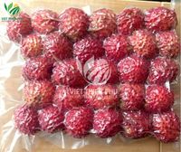 2025 Groothandel Iqf Biologische Rambutan Vers Zoet Geconserveerd Hoge Kwaliteit Water Vietnam Tuinen Bulk Vacuüm Verpakt Bevroren Fruit