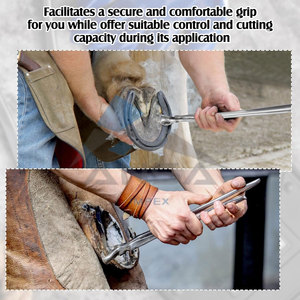 Pince à sabots de 16 pouces en acier inoxydable Kit d'outils de maréchal-ferrant coupe-sabots robustes avec gants de protection pour cheval chèvre mouton - Product Image 4