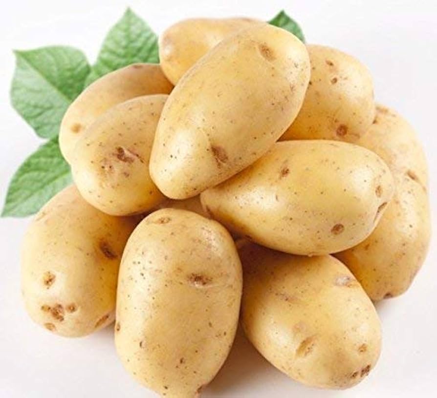 Best Price 250g Fresh Healthy Non-GMO Potatoes Fast Delivery in Stock Buy Now!