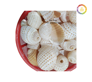 Anneaux de serviette coquillage faits à la main pour la décoration d'événement côtier de mariage de plage et la vente en gros de table de dîner - Product Image 1