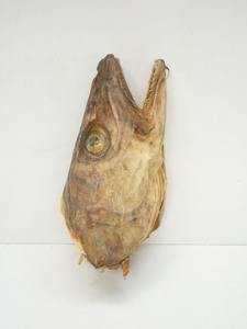 Pescado Seco Entero, Variedad Capitán, Bajo en Carbohidratos, 12 kg, Envasado al Vacío, 2 Años de Duración - Product Image 4