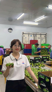 Limes vietnamiennes sans pépins de qualité supérieure Stockage à froid 30-45 jours Durée de conservation Fruits frais Qualité à l'exportation Prix compétitif - Product Image 4